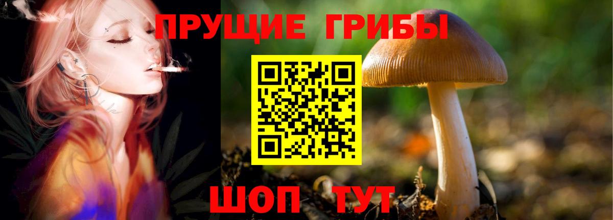 Псилоцибиновые грибы Psilocybine cubensis  Вход с VPN  Краснодар 